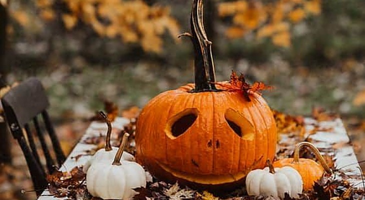 HALLOWEEN! Dicas de decoração e&nbsp;fantasia