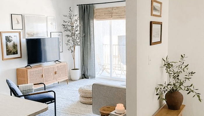 Dicas para decorar apartamento&nbsp;alugado: